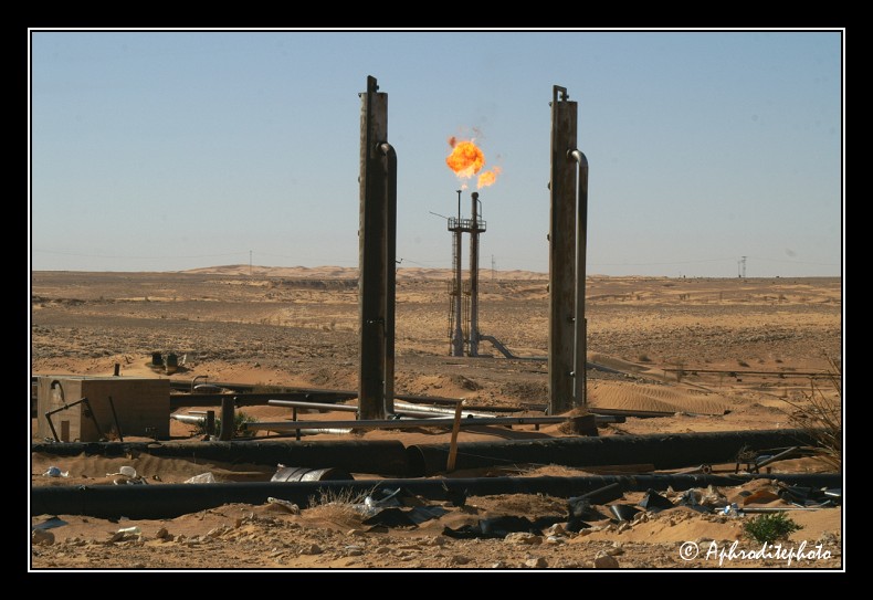111  Flamme torchere a El Borma